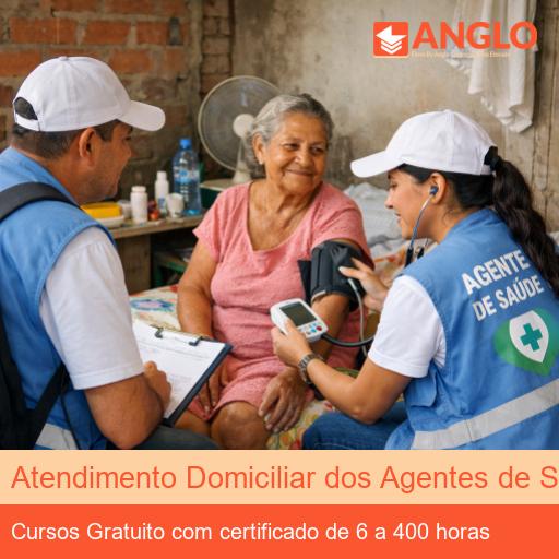 Atendimento Domiciliar dos Agentes de Saúde